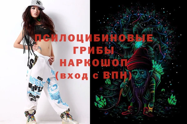 ALPHA PVP Покачи